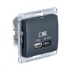 GSL000729 | GLOSSA USB РОЗЕТКА А + тип-С 45Вт высокоскор.заряд. QC, PD, механизм, АНТРАЦИТ Systeme Electric