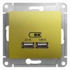 GSL001033 | GLOSSA USB РОЗЕТКА A+A, 5В/2,1 А, 2х5В/1,05 А, механизм, ФИСТАШКОВЫЙ Systeme Electric