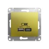 GSL001039 | GLOSSA USB РОЗЕТКА А+С, 5В/2,4А, 2х5В/1,2 А, механизм, ФИСТАШКОВЫЙ Systeme Electric