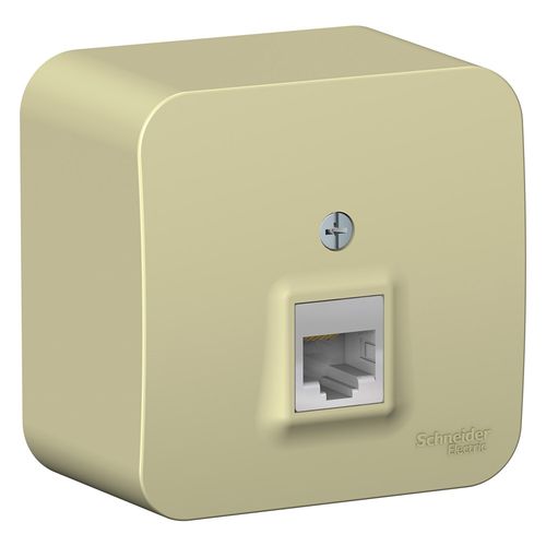 BLNIA045007 | BLANCA О/У РОЗЕТКА компьютерная RJ45, кат.5E, ИЗОЛ.ПЛ.,БЕЖЕВЫЙ Systeme Electric
