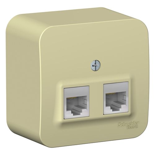 BLNIA045457 | BLANCA О/У РОЗЕТКА двойная компьютерная RJ45, кат.5E, ИЗОЛ.ПЛ.,БЕЖЕВЫЙ Systeme Electric
