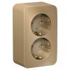 BLNRA011204 | BLANCA О/У РОЗЕТКА двойная с заземлением со шторк., 16А, 250В, ТИТАН Systeme Electric
