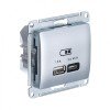 GSL000329 | GLOSSA USB РОЗЕТКА А + тип-С 45Вт высокоскор.заряд. QC, PD, механизм, АЛЮМИНИЙ Systeme Electric
