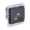 GSL000829 | GLOSSA USB РОЗЕТКА А + тип-С 45Вт высокоскор.заряд. QC, PD, механизм, ШОКОЛАД Systeme Electric
