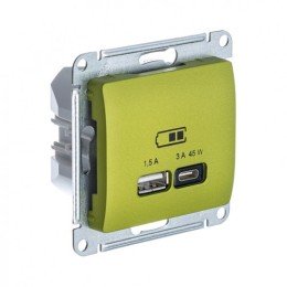GSL001029 | GLOSSA USB РОЗЕТКА А + тип-С 45Вт высокоскор.заряд. QC, PD, мех., ФИСТАШКОВЫЙ Systeme Electric
